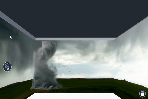 Una classe online immersiva e interattiva per la simulazione medica con e-REAL