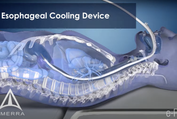 Tutorial medici interattivi